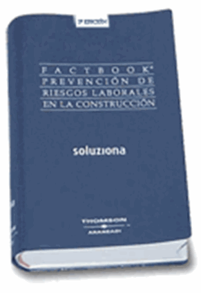 Factbook Prevencin de Riesgos Laborales en la Construccin