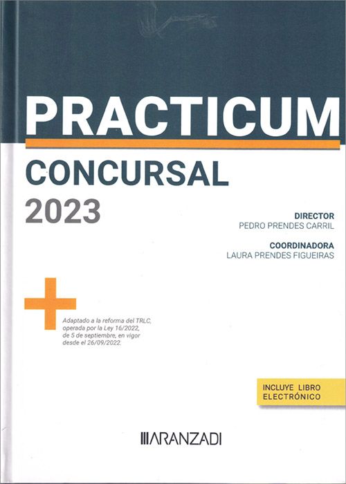 Practicum Concursal 2023