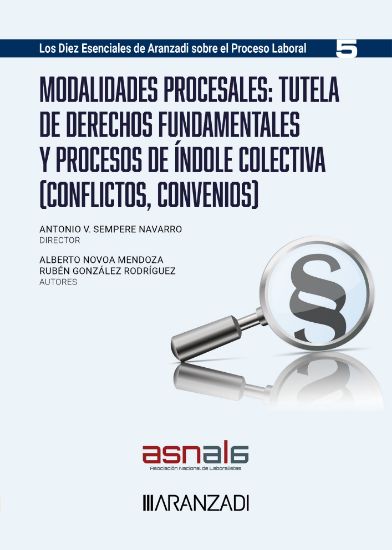 Modalidades procesales: tutela de derechos fundamentales y procesos de ndole colectiva ( conflictos, convenios )