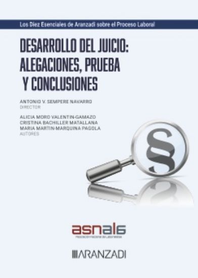 El desarrollo del juicio: alegaciones, prueba y conclusiones