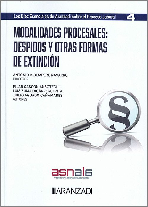 Modalidades procesales: despidos y otras formas de extincin