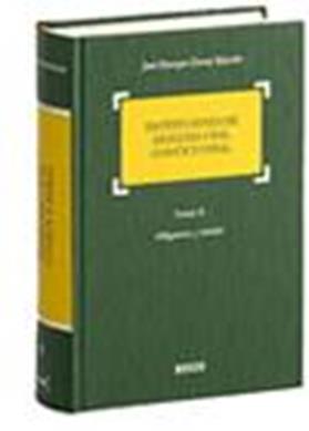 Instituciones de Derecho Civil Comn y Foral. Tomo II. Obligaciones y Contratos
