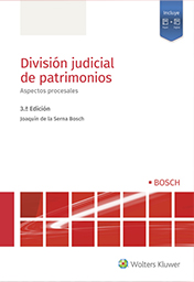 Division judicial de patrimonios: Aspectos procesales