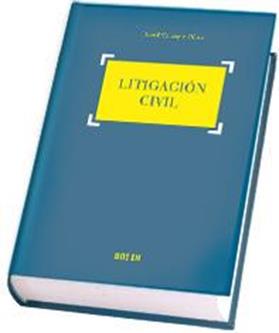 Litigacin Civil