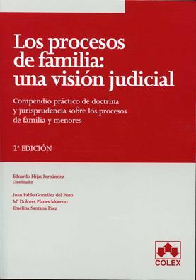 Los procesos de familia: una visin judicial