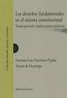 Los derechos fundamentales en el sistema constitucional. Teoria  general e implicaciones practicas