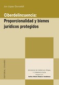 Ciberdelincuencia: Proporcionalidad y bienes juridicos protegidos