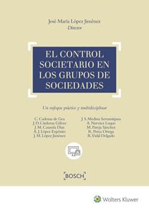 El control societario en los grupos de sociedades
