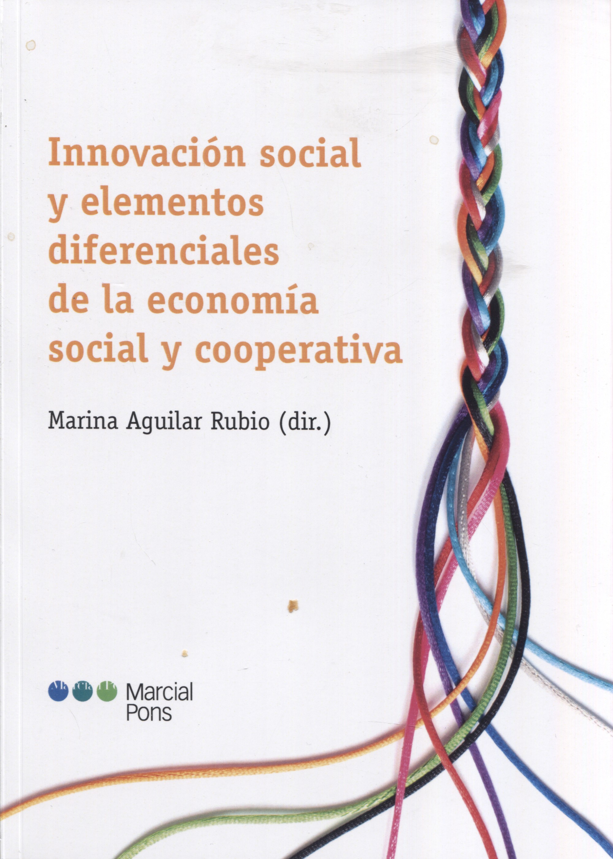 Innovación social y elementos diferenciales de la economia social y cooperativa