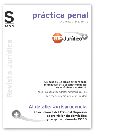 Resoluciones del Tribunal Supremo sobre violencia domstica y de gnero durante 2023