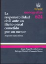 La Responsabilidad Civil Ante un Ilcito Penal Cometido por un Menor