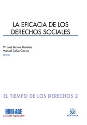 La eficacia de los derechos sociales