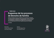 Esquemas de los procesos de Derecho de Familia. Tomo XLIX