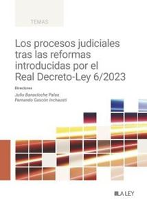 Los procesos judiciales tras las reformas introducidas por el Real Decreto Ley 6/2023
